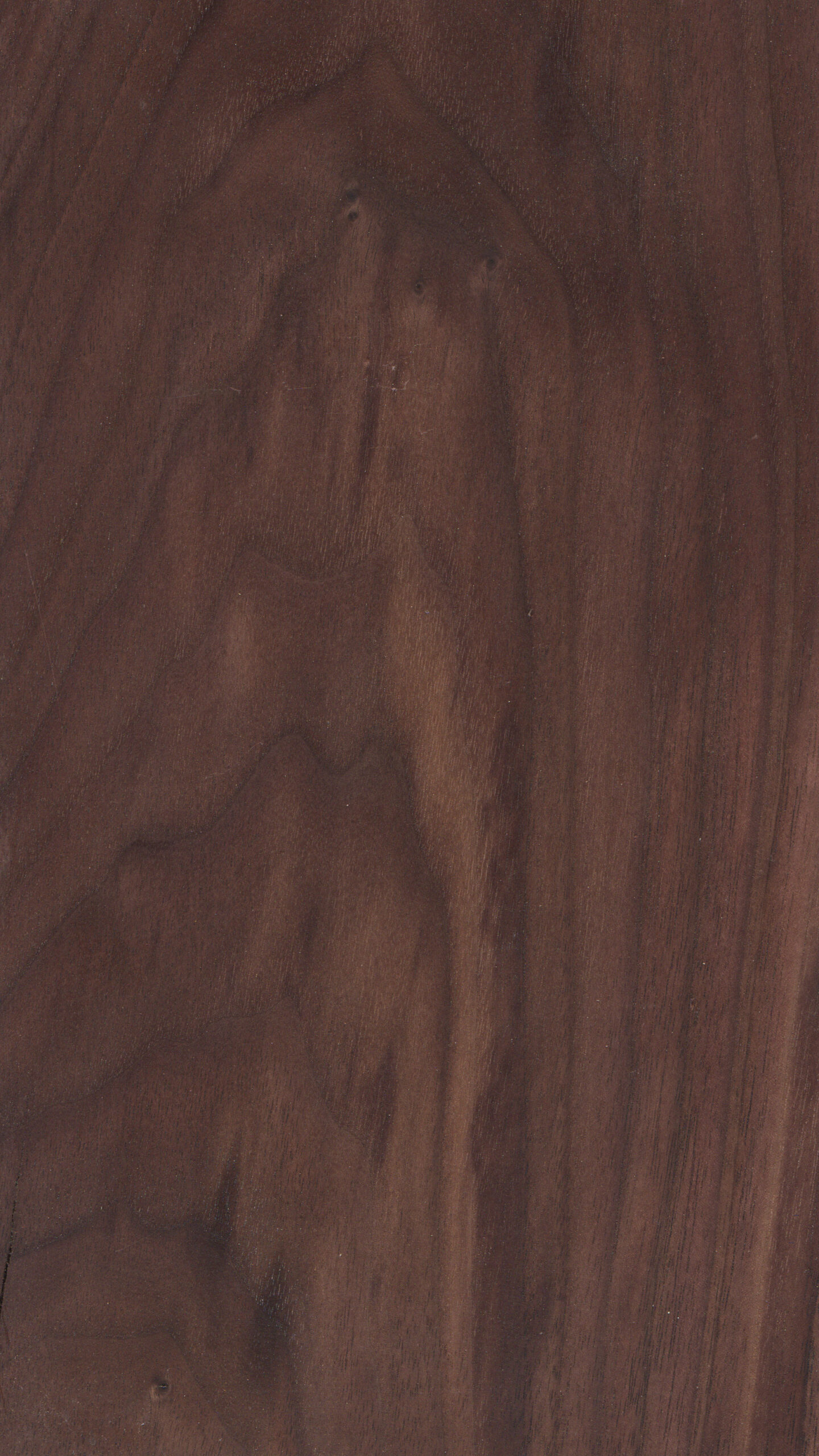 walnut_oil_osmo